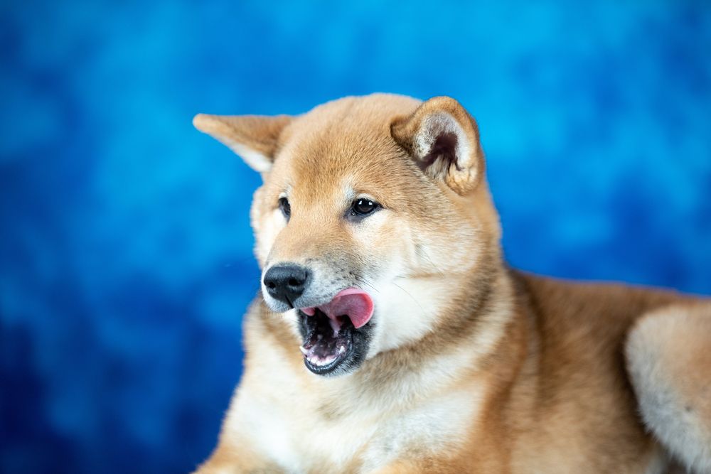 Photograph by Дарья Лисицына