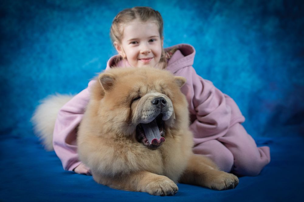 Photograph by Дарья Лисицына