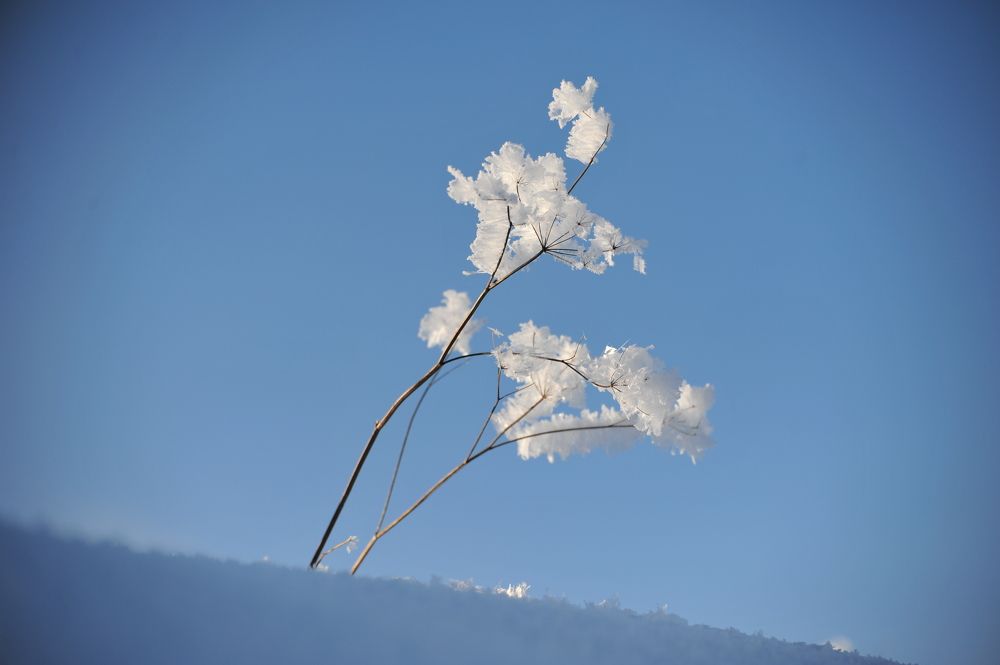 Photograph by Юрий Яковлев