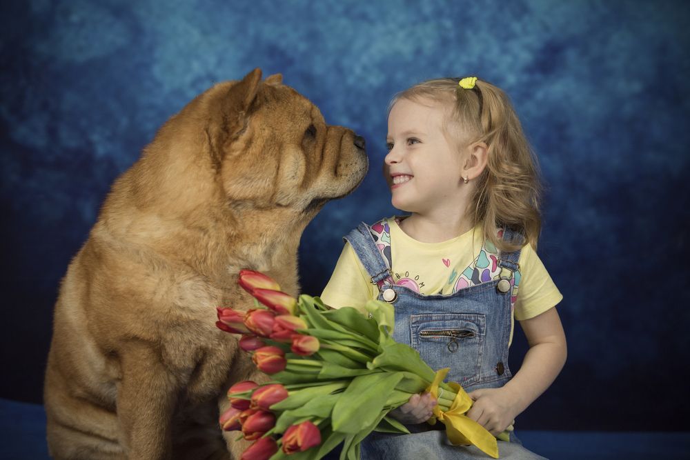 Photograph by Дарья Лисицына