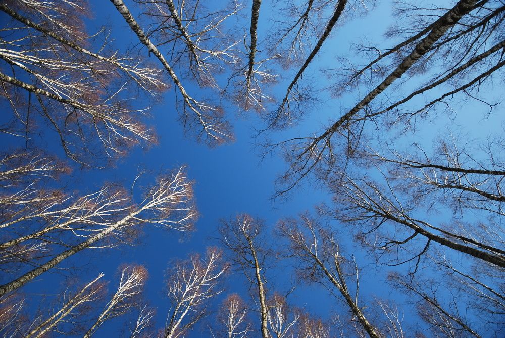 Photograph by Юрий Яковлев