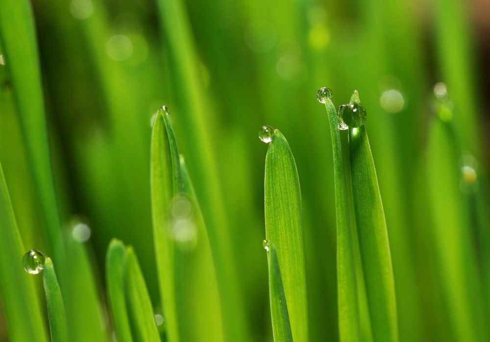 Фотография автора Сергей Кулешов