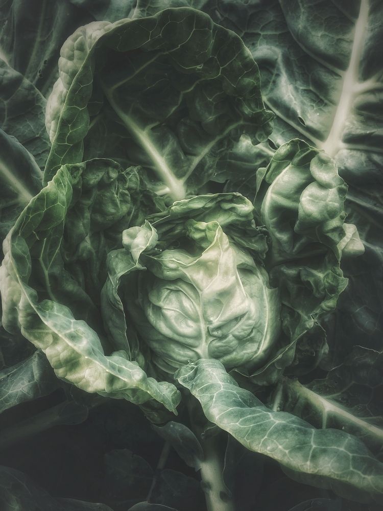 Photograph by Елена Дегтяренко