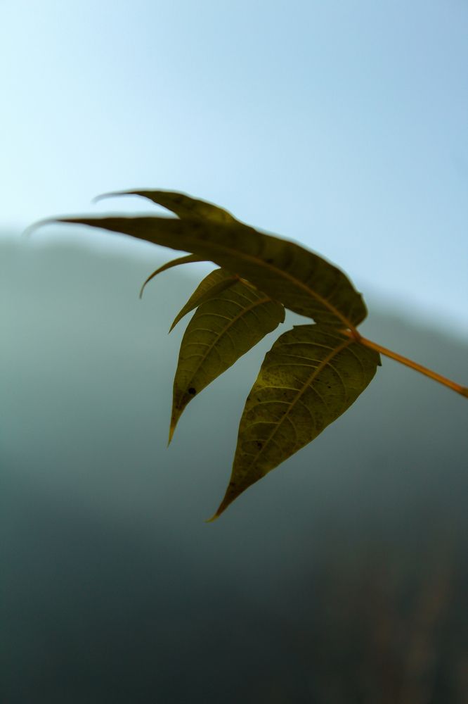 Photograph by talanavard farzad