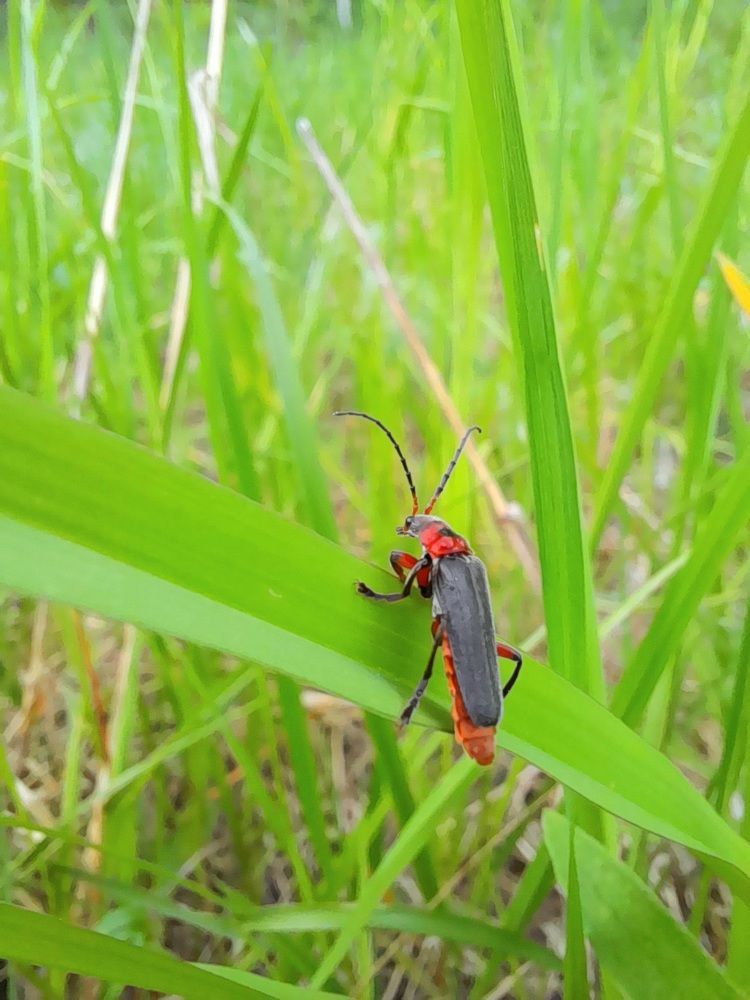 Photograph by Преснухина Екатерина