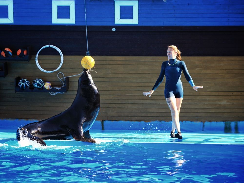 Photograph by Михаил Саидов