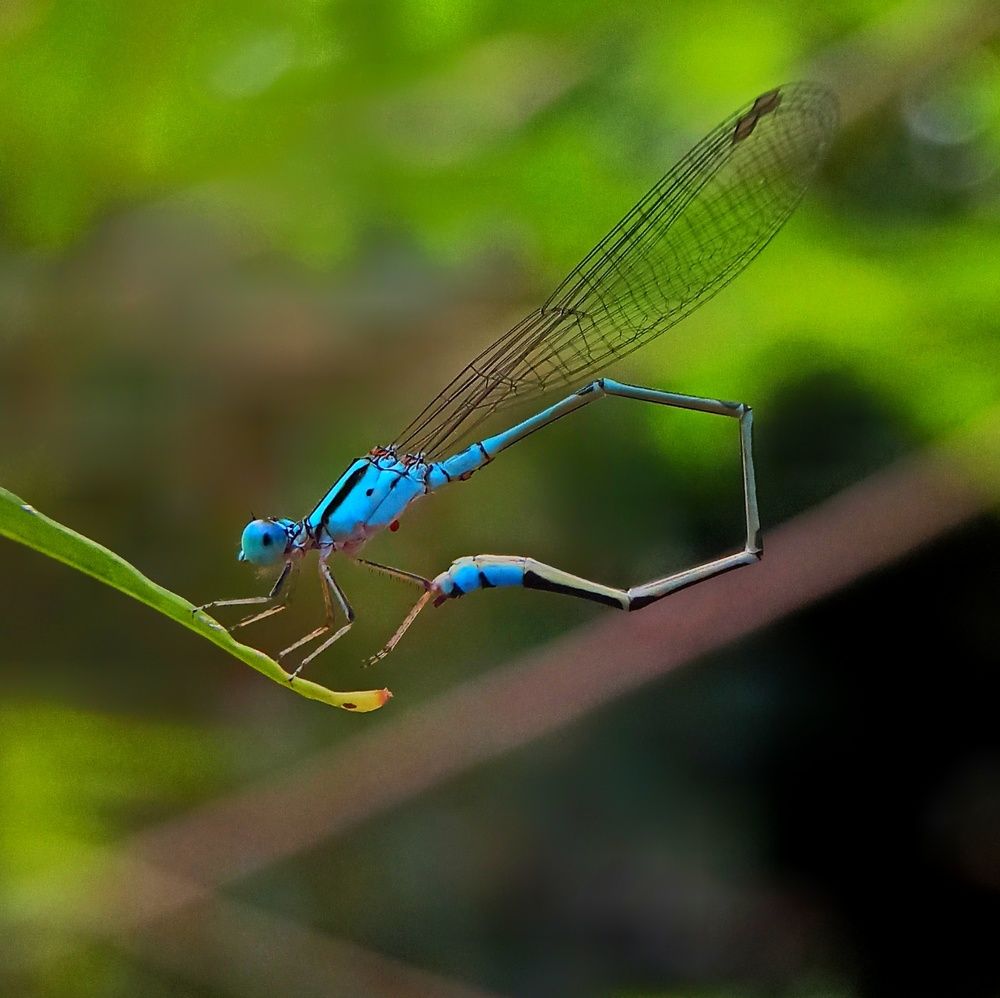 Photograph by Ciraj Abraham
