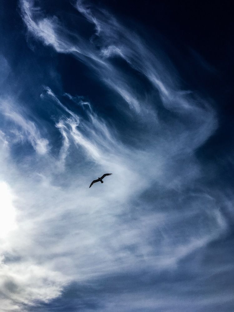 Photograph by Николай Тышкунов