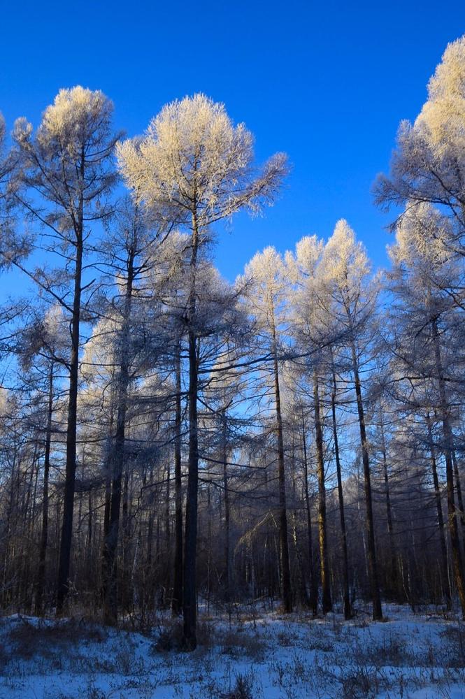 Photograph by Марина Корреа Ластра