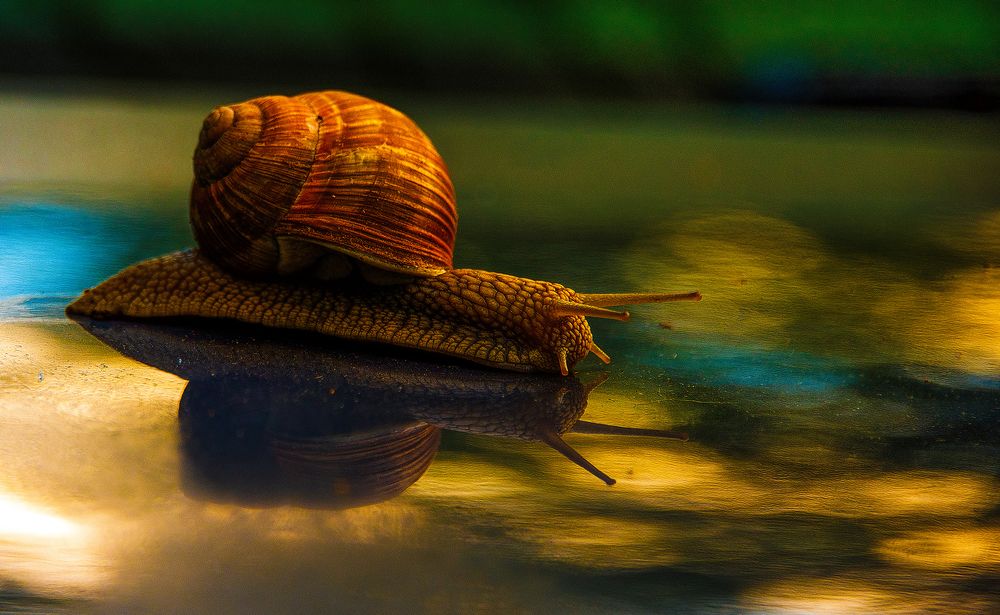 Photograph by Владимир Безбородов