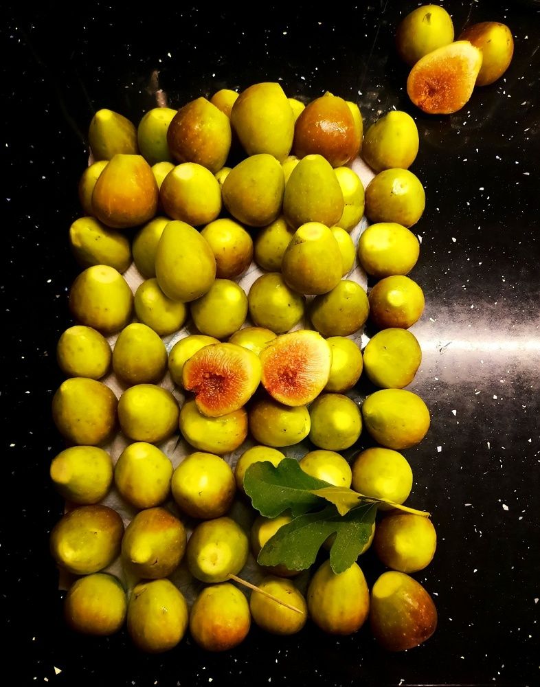 Photograph by Jelena Vasic