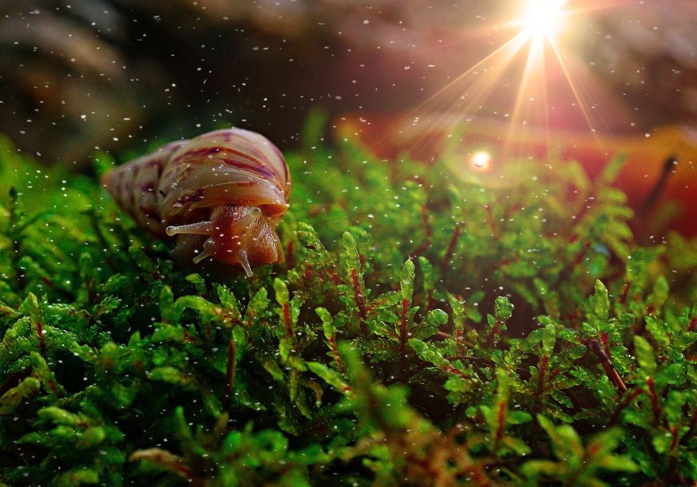 Photograph by Людмила ЧЕРНИКОВА