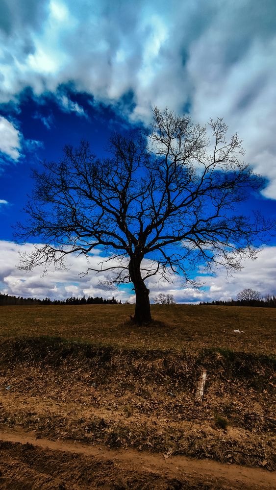 Photograph by Катерина Магало