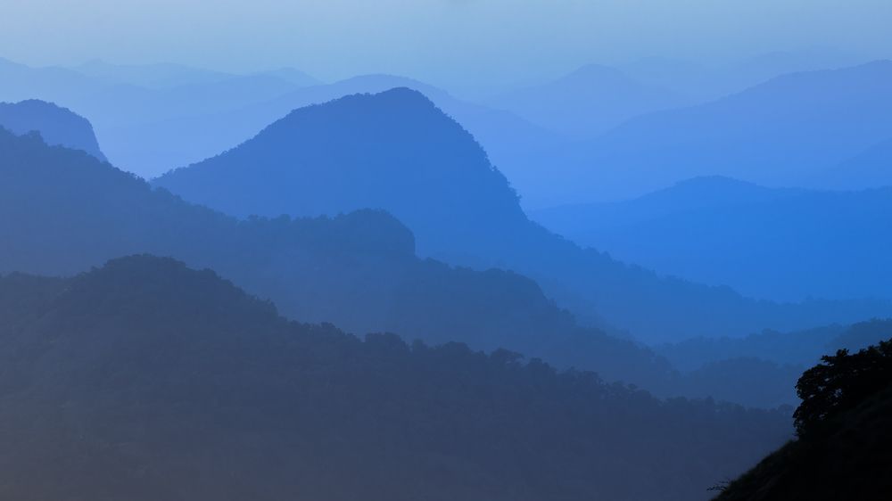 Photograph by Dylan Tom