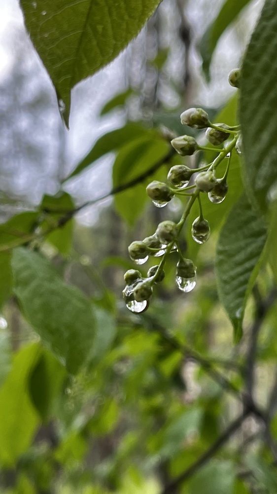 Photograph by Виктория Голубь