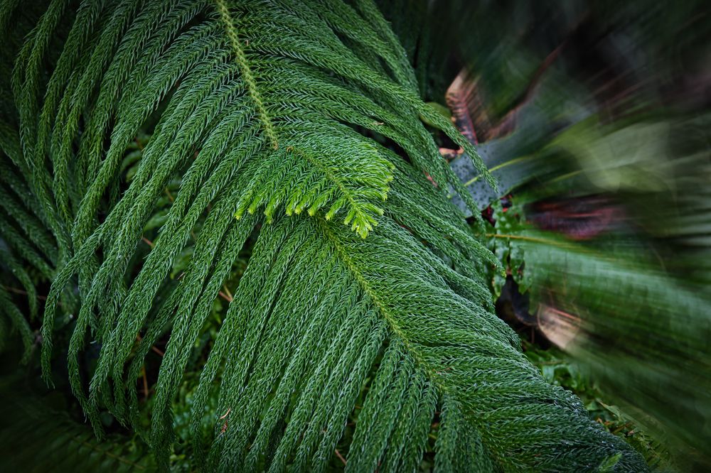 Photograph by Людмила ЧЕРНИКОВА