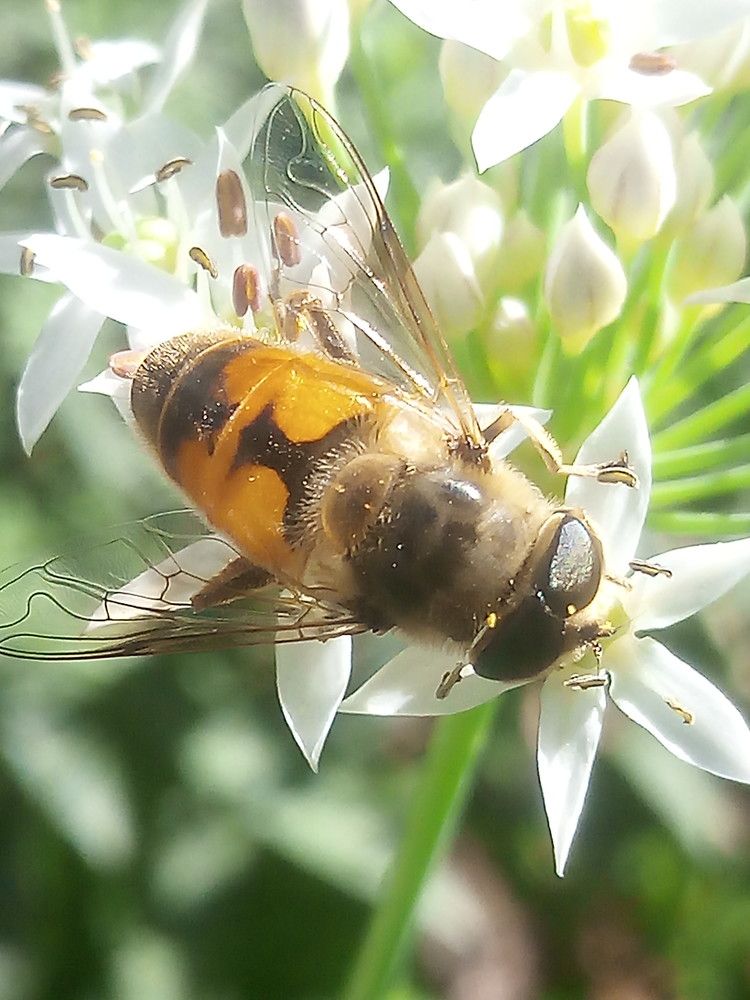 Photograph by Елена Мясникова