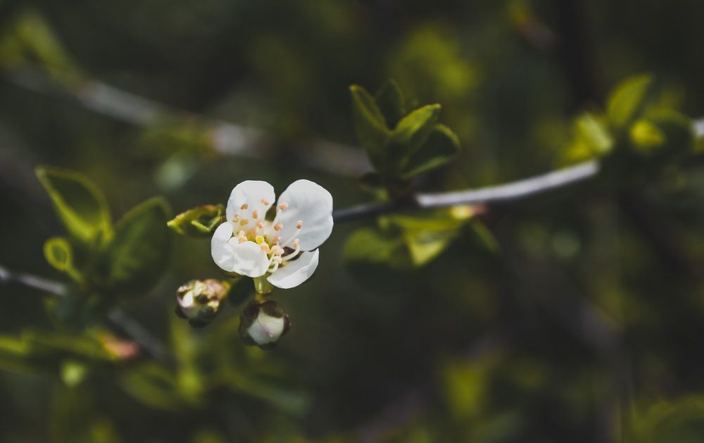 Photograph by Елизавета Большакова