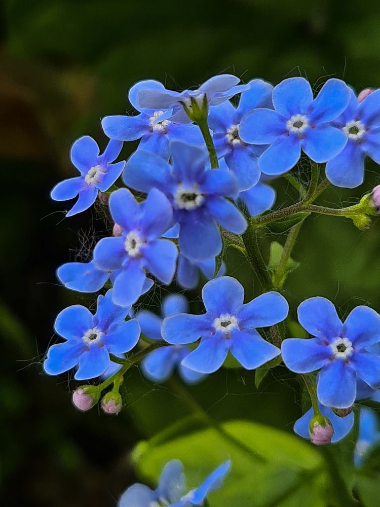 Photograph by Людмила Григорьева