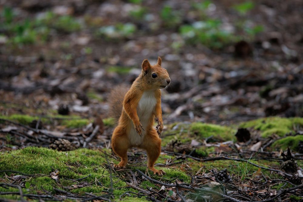 Photograph by Валентин Колинько