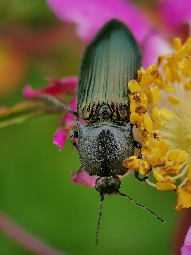 Photograph by Ирина Ветюгова