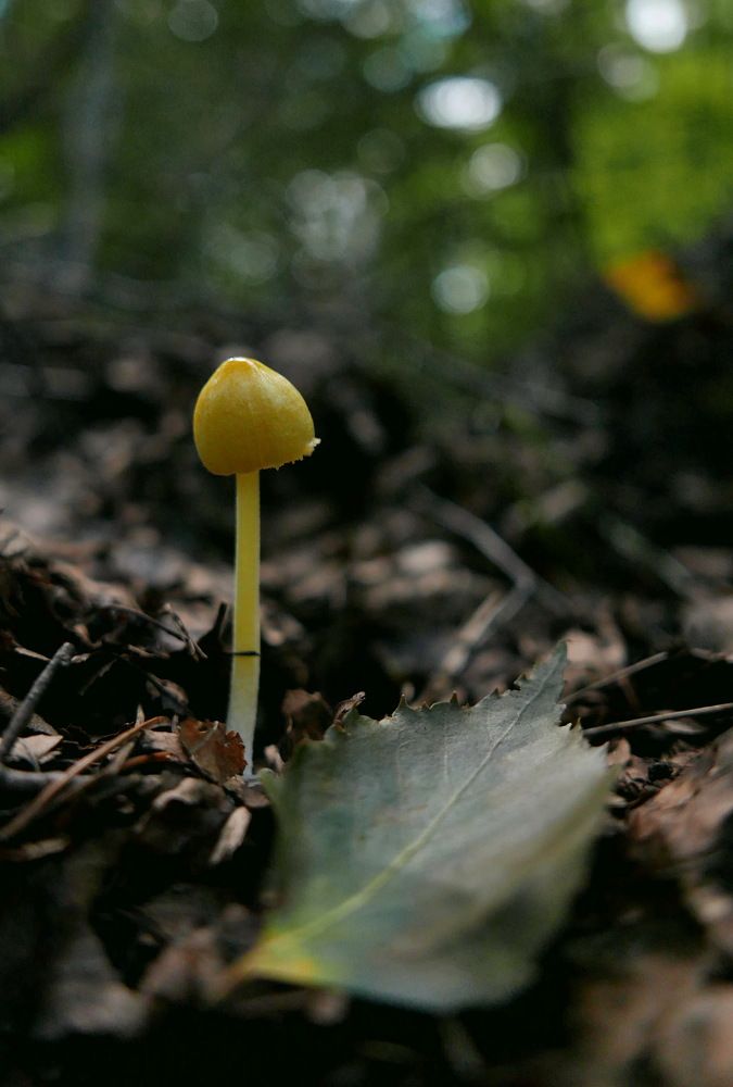 Photograph by Юрий Сычев