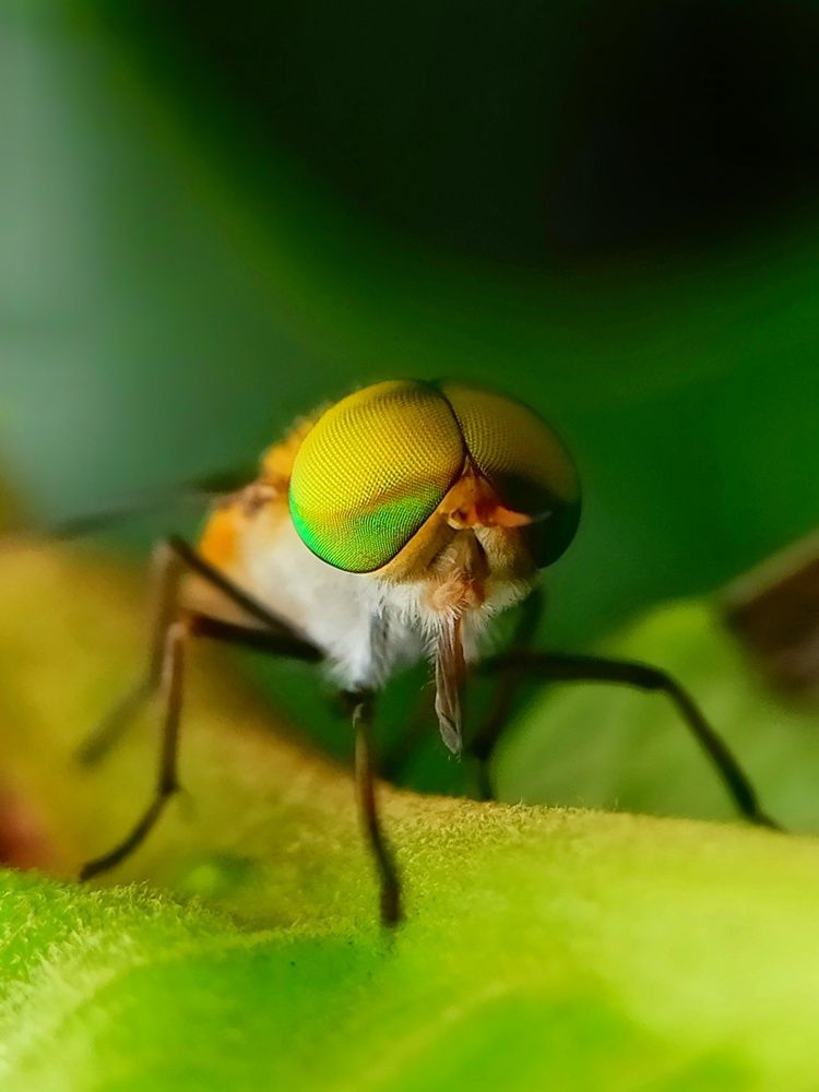 Photograph by Ciraj Abraham