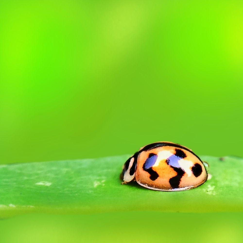 Photograph by Ciraj Abraham