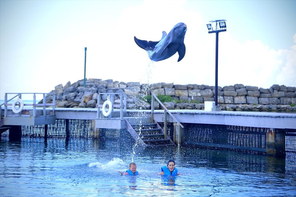 Фотография автора Ираида Гайфуллина