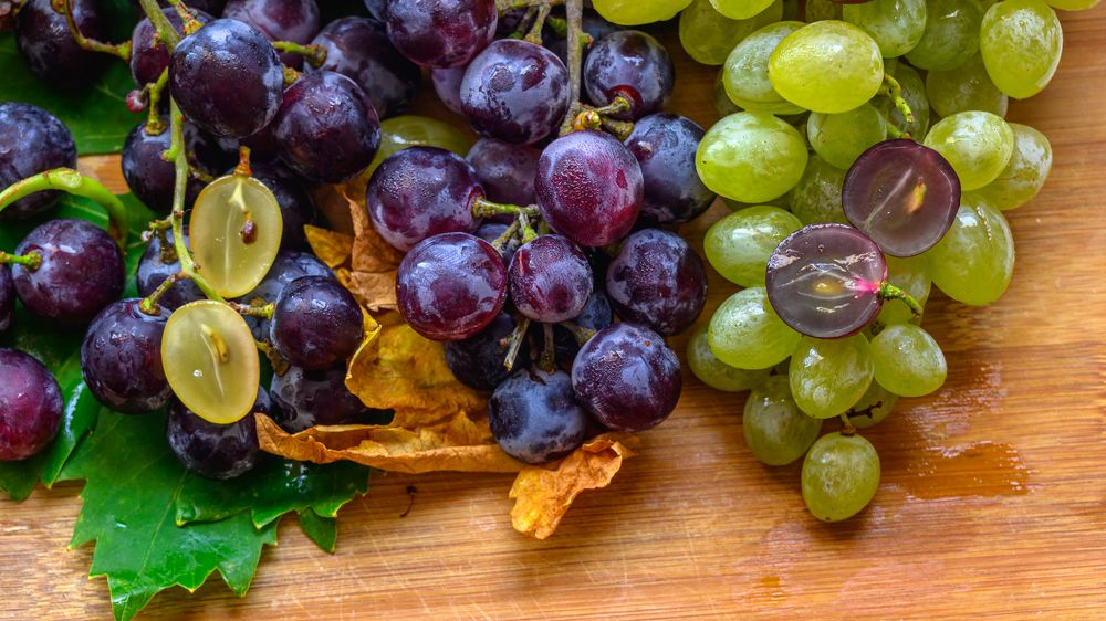 Photograph by Милен Младенов