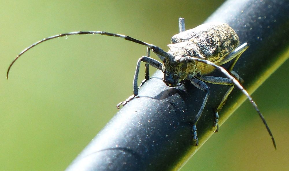 Photograph by Юрий Сычев