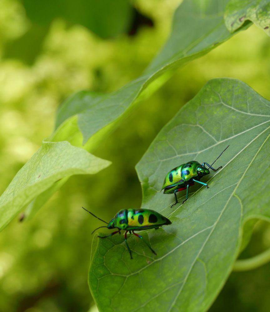 Photograph by Юрий Сычев