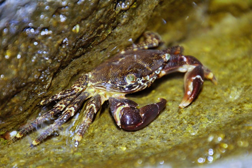 Photograph by Юрий Сычев