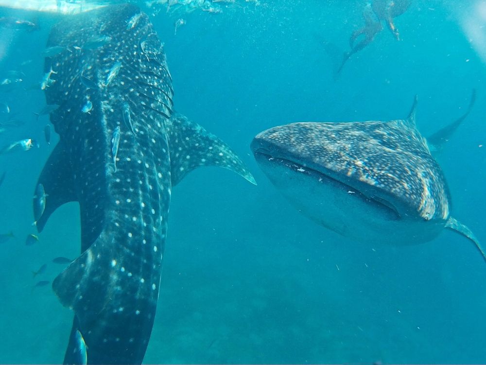 Photograph by Юрий Сычев