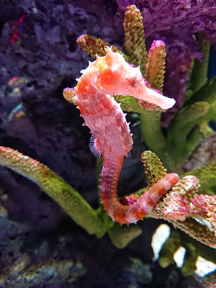 Photograph by Юрий Сычев