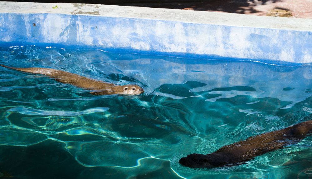 Photograph by Елизавета Большакова