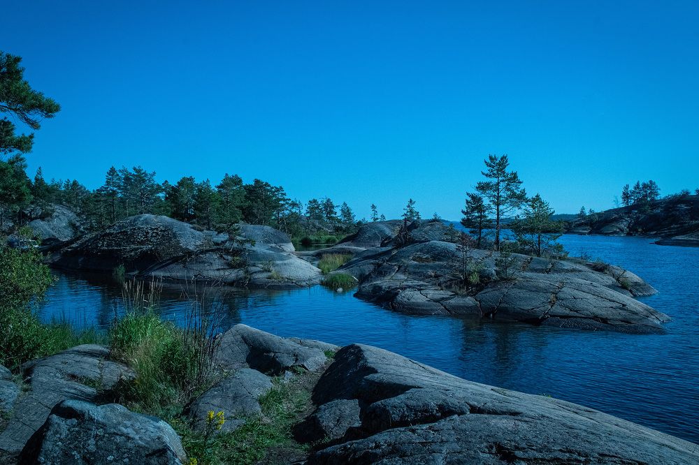 Photograph by Мария Катасонова