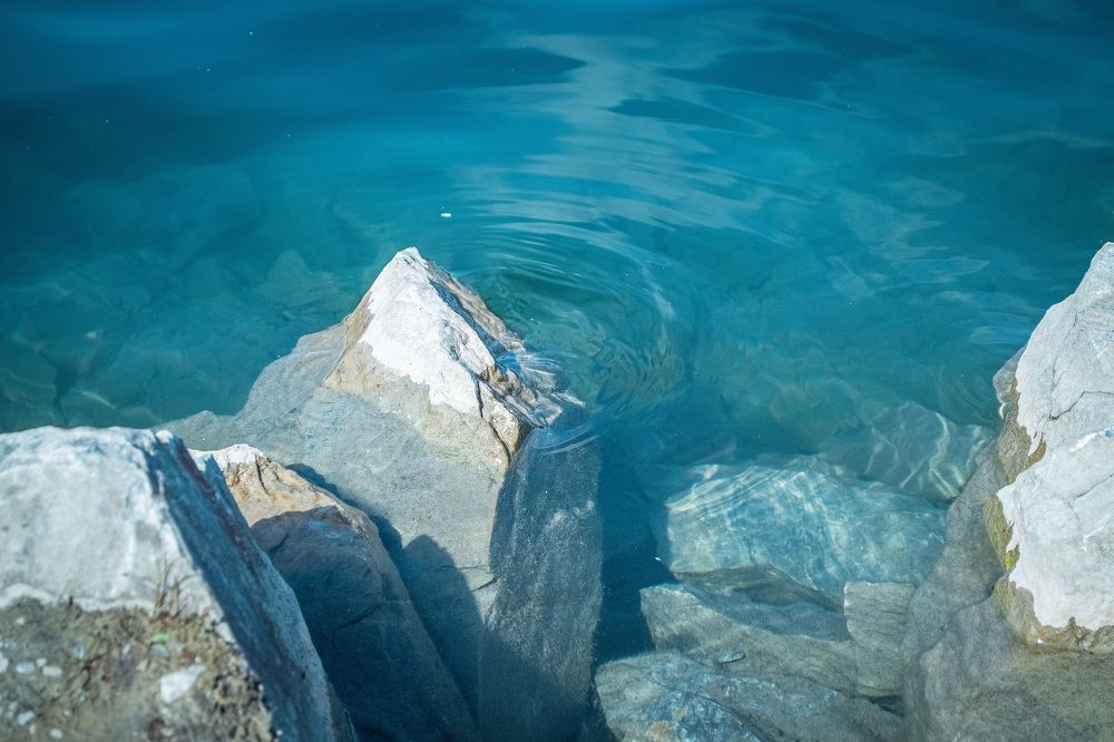 Photograph by Мария Катасонова