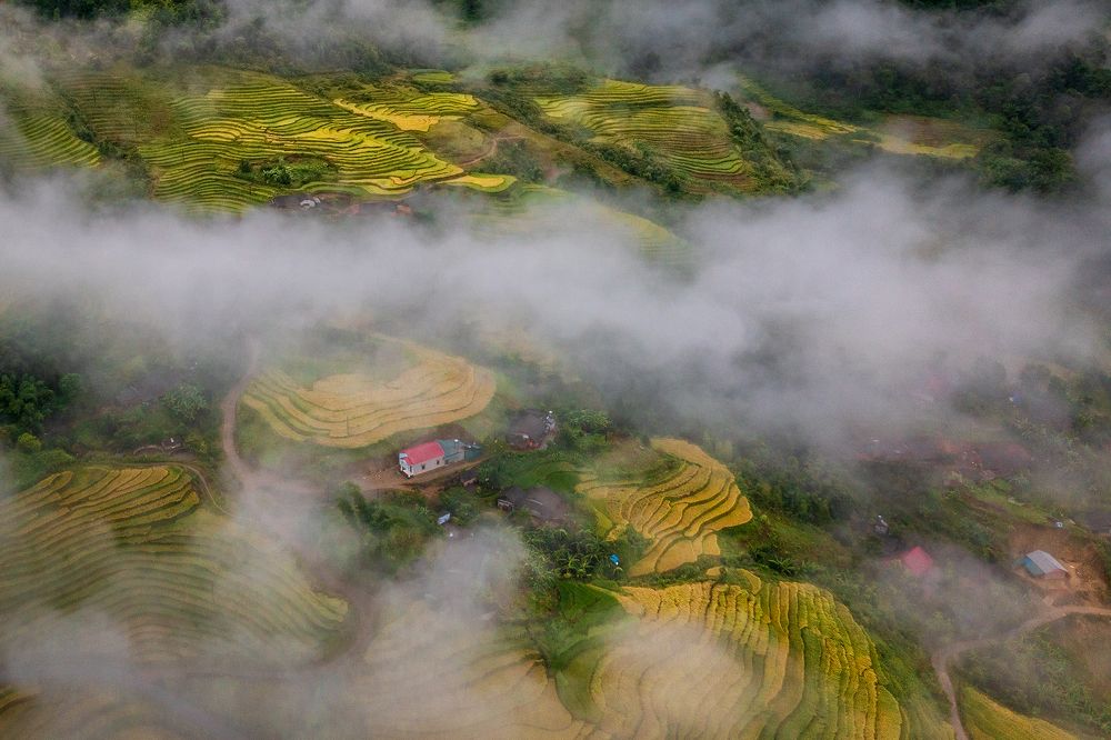 Photograph by Hanh P. T. Pham