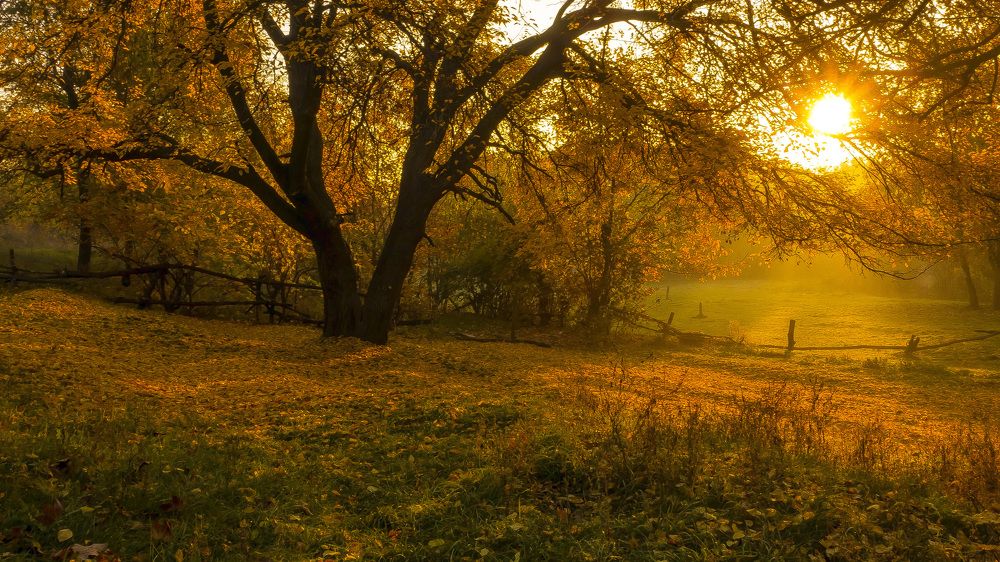 Photograph by Лилия Викторовна Реутова