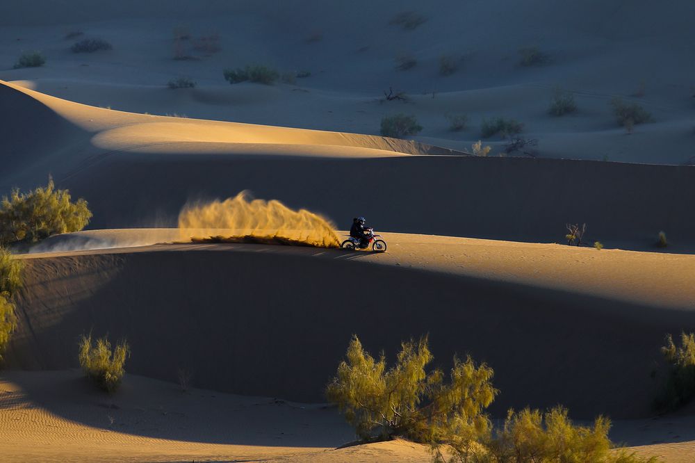 Photograph by negin hemmat zade