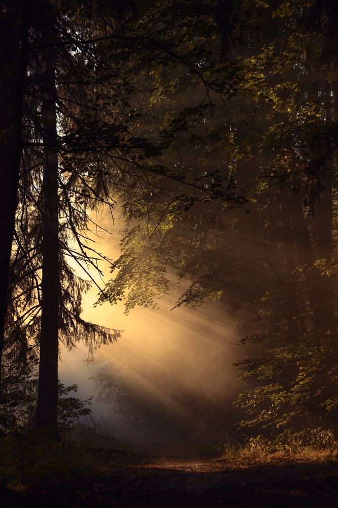 Photograph by Елена Маршавина