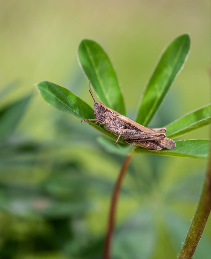 Photograph by Елизавета Варкентин