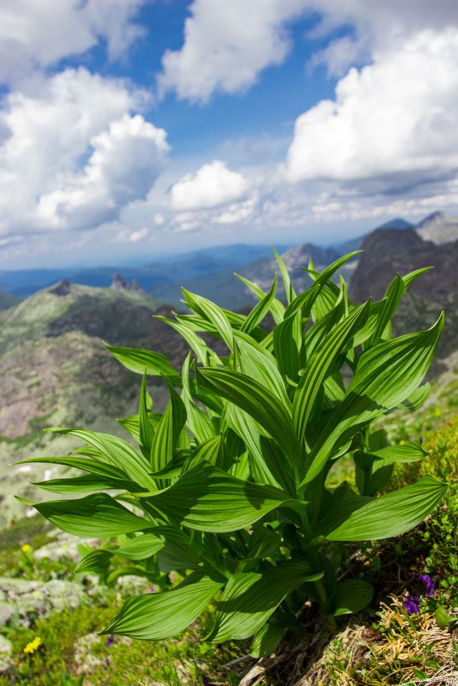 Photograph by Константин Искучеков