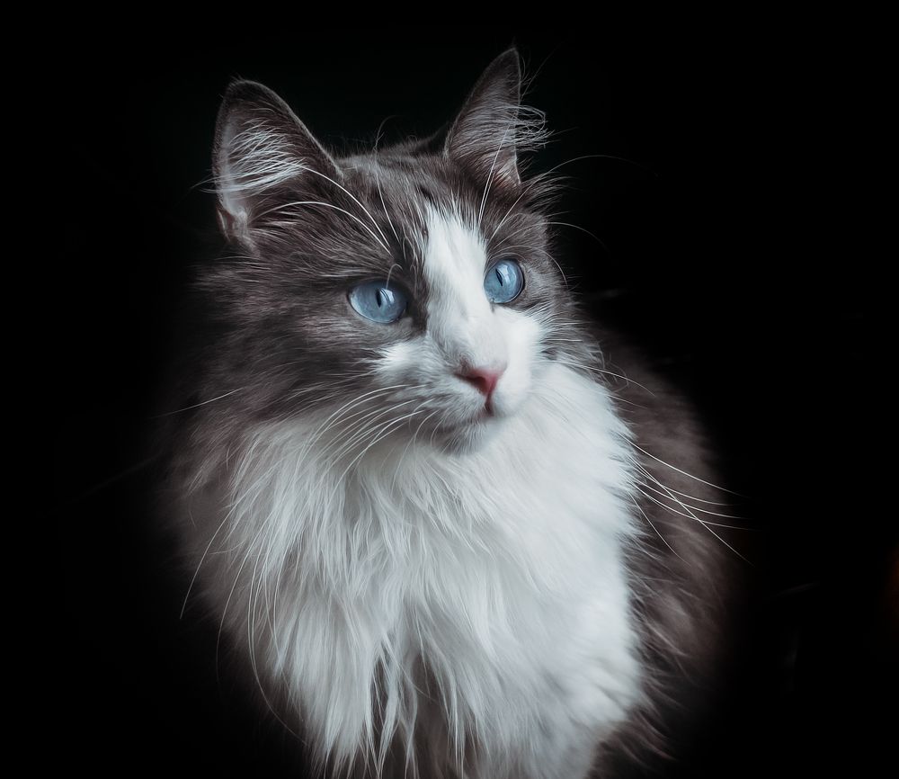 Photograph by Элла Алексеева