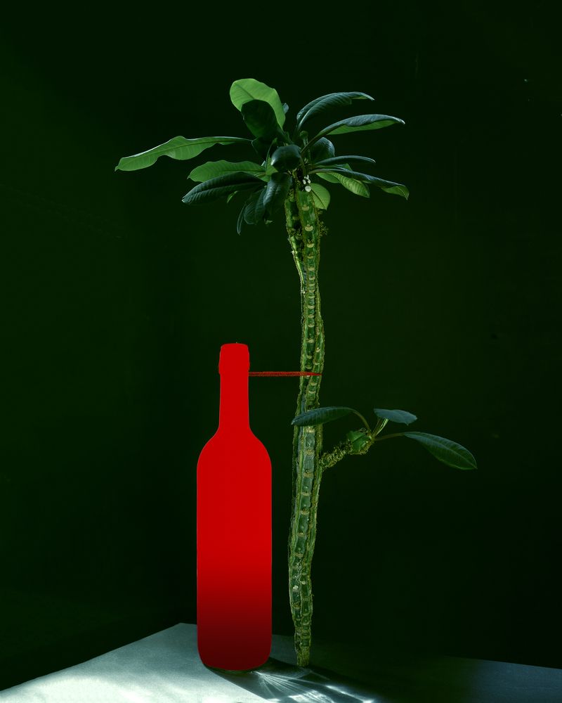 Photograph by Владимир Симакин