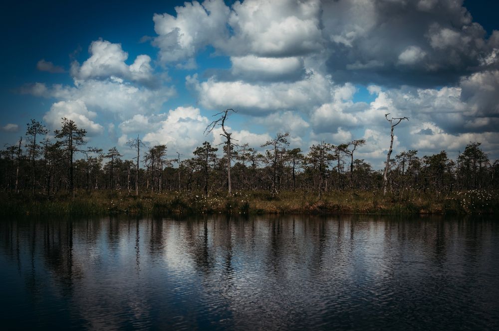 Photograph by Элла Алексеева