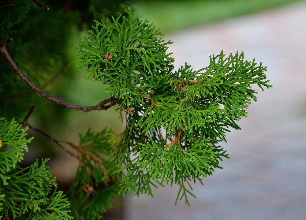 Photograph by Алексей Volg