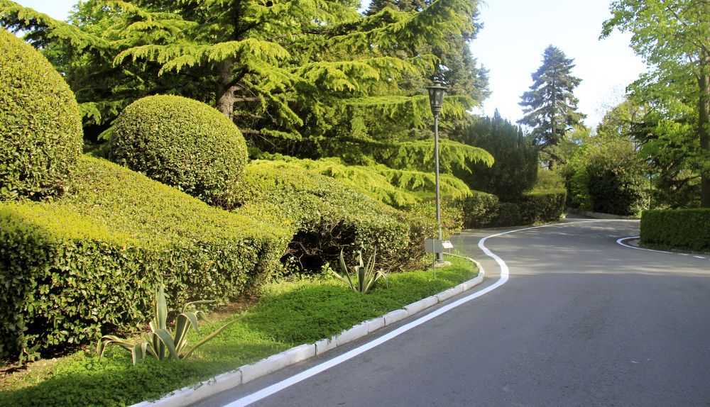 Photograph by Елена Титова