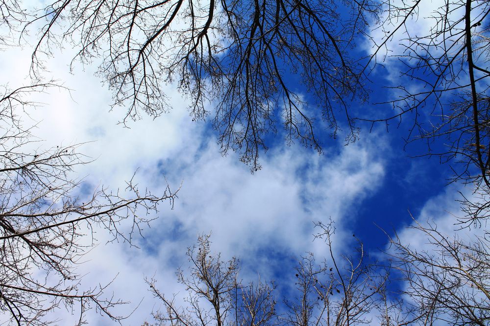 Photograph by Татьяна Королёва